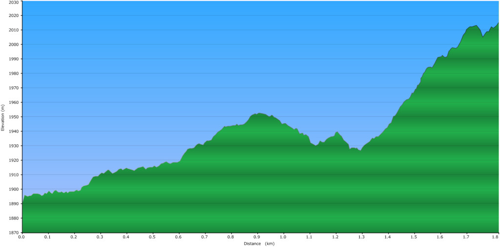 Illal Peak – Elevation Proflie