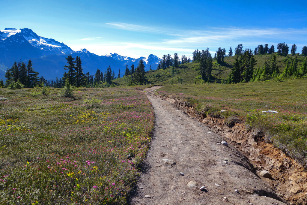 elfin lakes, little diamond head, garibaldi provincial parks,