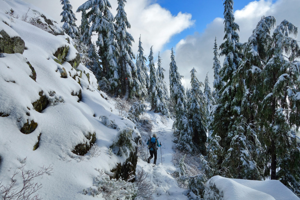 Adventures of a T1D, Type 1 diabetes, Ashika Parsad, Hiker, Adventurer, Mt. Seymour, North Shore, Winter, hiking, snow conditions north shore