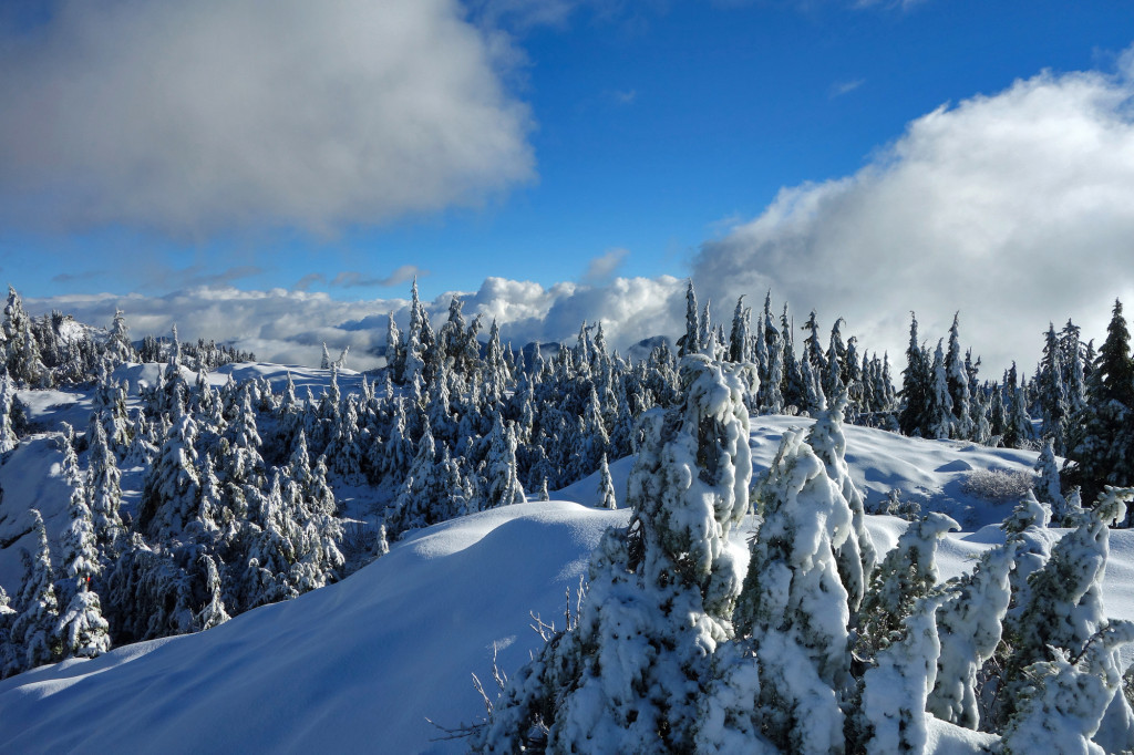 Adventures of a T1D, Type 1 diabetes, Ashika Parsad, Hiker, Adventurer, Mt. Seymour, North Shore, Winter, hiking, snow conditions north shore