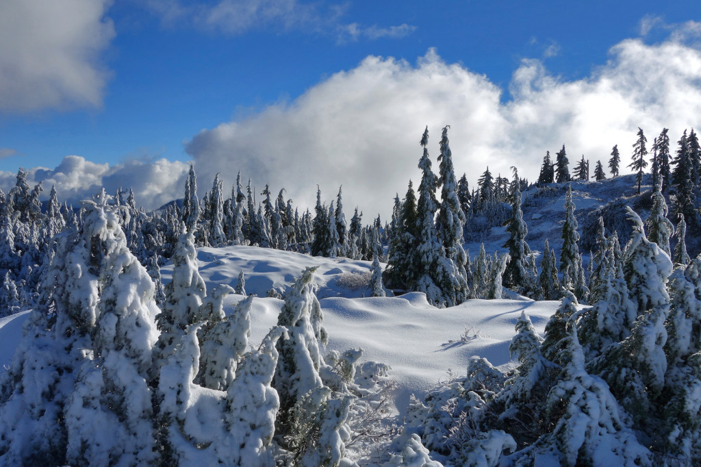 Adventures of a T1D, Type 1 diabetes, Ashika Parsad, Hiker, Adventurer, Mt. Seymour, North Shore, Winter, hiking, snow conditions north shore