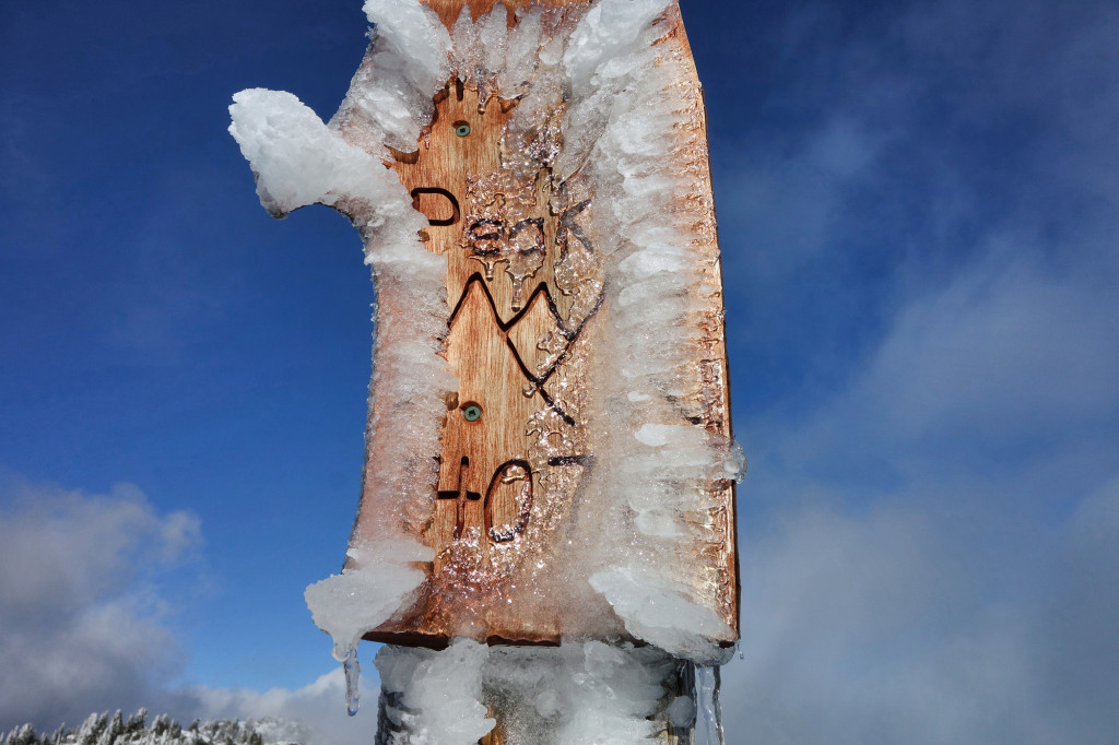 Adventures of a T1D, Type 1 diabetes, Ashika Parsad, Hiker, Adventurer, Mt. Seymour, North Shore, Winter, hiking, snow conditions north shore