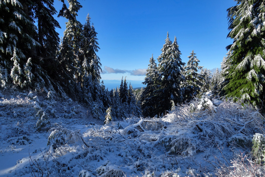 Adventures of a T1D, Type 1 diabetes, Ashika Parsad, Hiker, Adventurer, Mt. Seymour, North Shore, Winter, hiking, snow conditions north shore