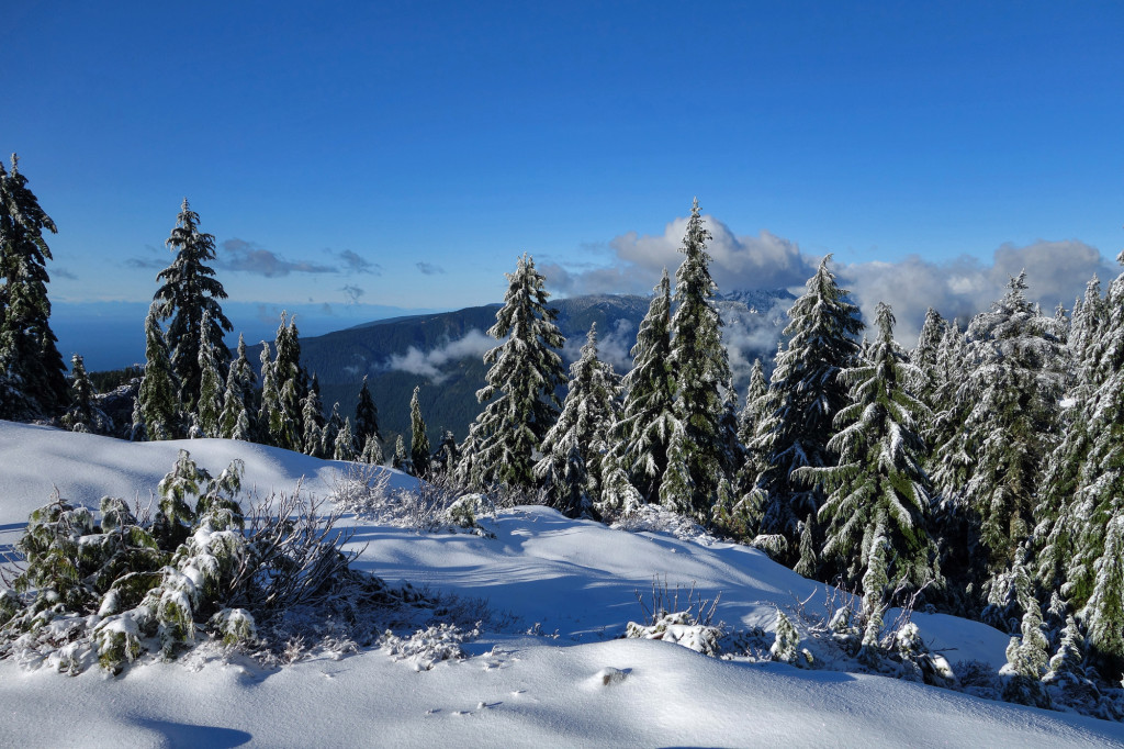 Adventures of a T1D, Type 1 diabetes, Ashika Parsad, Hiker, Adventurer, Mt. Seymour, North Shore, Winter, hiking, snow conditions north shore