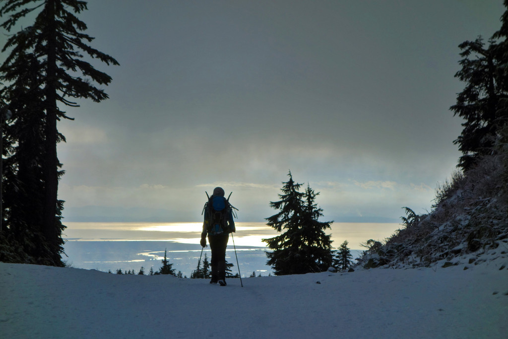 Adventures of a T1D, Type 1 diabetes, Ashika Parsad, Hiker, Adventurer, Mt. Seymour, North Shore, Winter, hiking, snow conditions north shoreAlong the Trail to First Pump