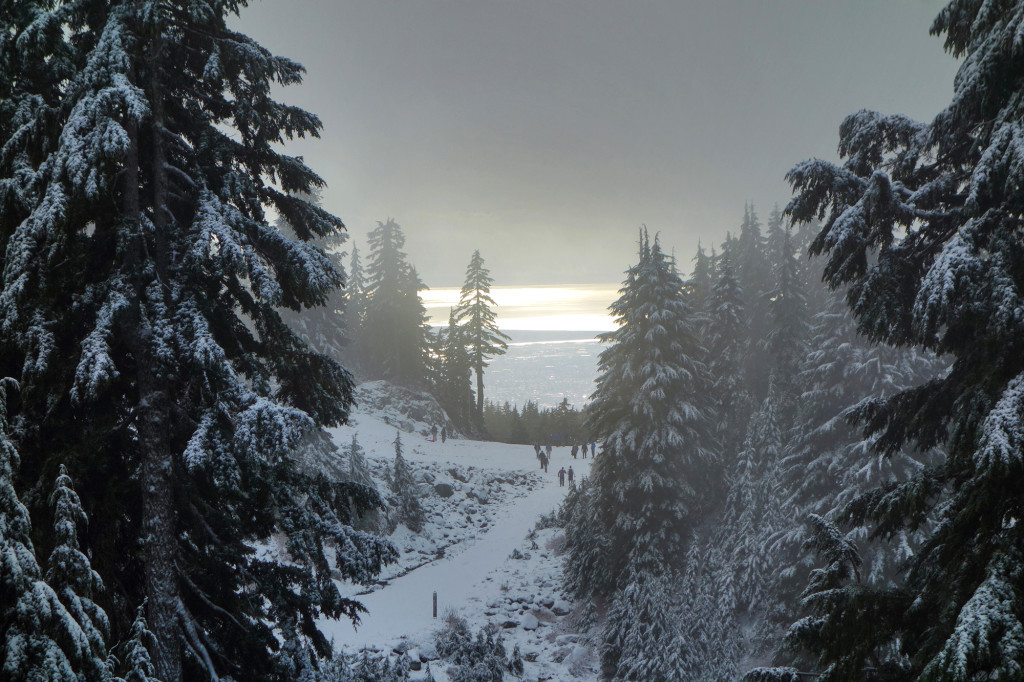 Adventures of a T1D, Type 1 diabetes, Ashika Parsad, Hiker, Adventurer, Mt. Seymour, North Shore, Winter, hiking, snow conditions north shoreAlong the Trail to First Pump