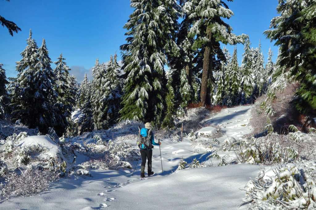 Adventures of a T1D, Type 1 diabetes, Ashika Parsad, Hiker, Adventurer, Mt. Seymour, North Shore, Winter, hiking, snow conditions north shore