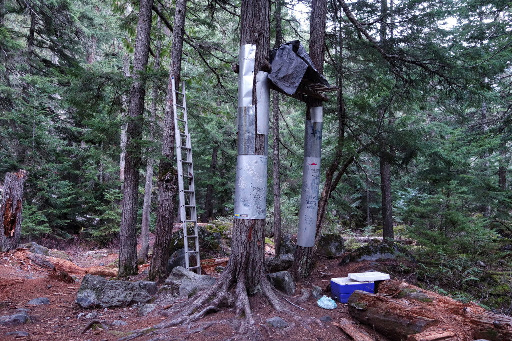 Pebble Creek Hot Springs, Keyhole Falls, Pemberton, Hiking, Natural Hotsprings