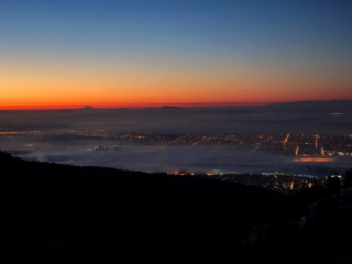 type 1 diabetes, ashika parsad