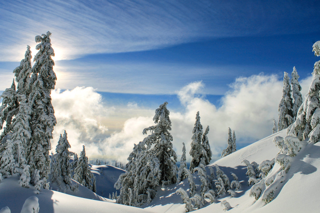 Tim Jones Peak, Mount Seymour Provincial Park, Adventures of a T1D, Type 1 Diabetes