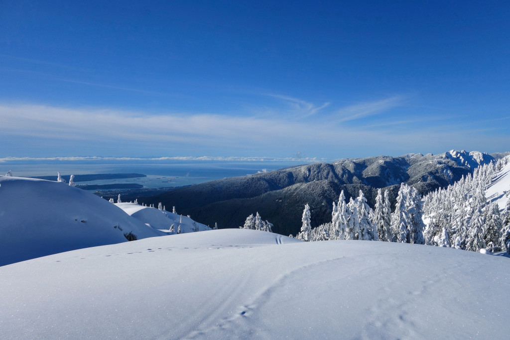 Tim Jones Peak, North Vancouver, North Shore Rescue, Mount Seymour