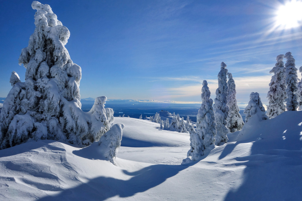 Tim Jones Peak, North Vancouver, North Shore Rescue, Mount Seymour