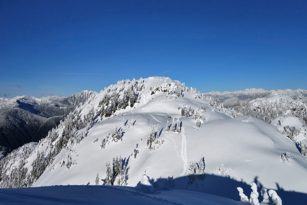 Tim Jones Peak, North Vancouver, North Shore Rescue, Mount Seymour