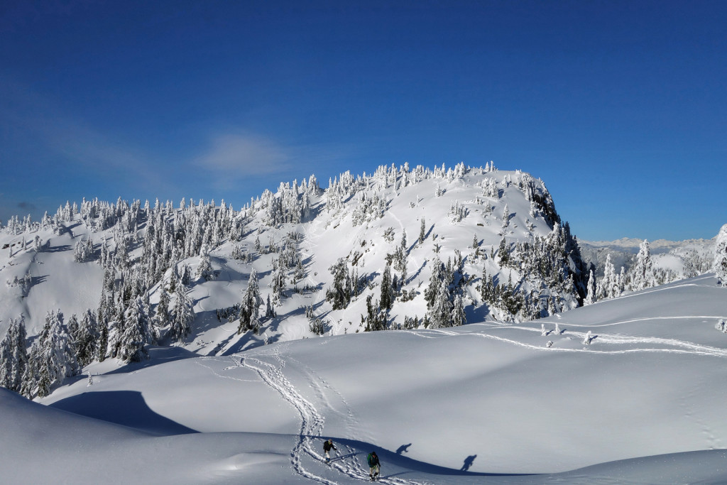 Tim Jones Peak, Mount Seymour Provincial Park, Adventures of a T1D, Type 1 Diabetes