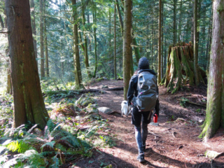 Woodland Walk Trail, Burke Mountain
