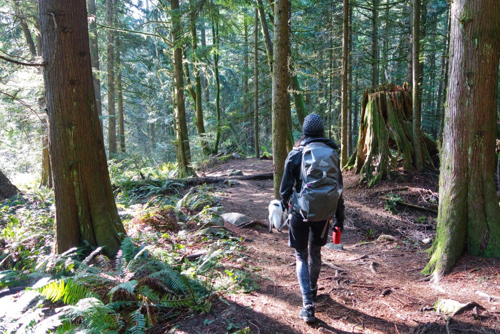 Woodland Walk Trail, Burke Mountain