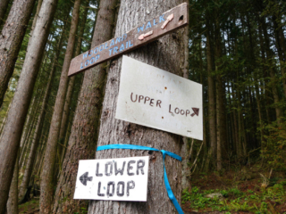 Woodland Walk Trail, Burke Mountain