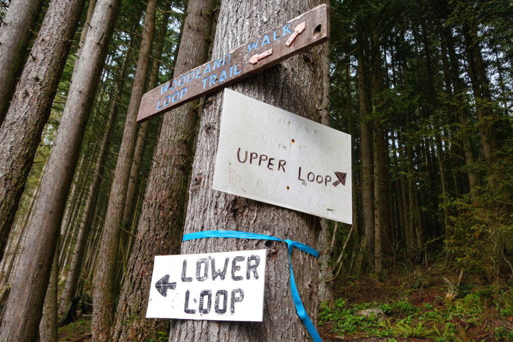 Woodland Walk Trail, Burke Mountain