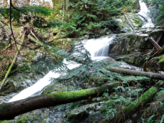 Woodland Walk Trail, Burke Mountain