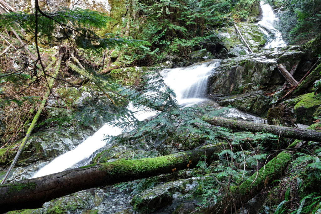 Woodland Walk Trail, Burke Mountain