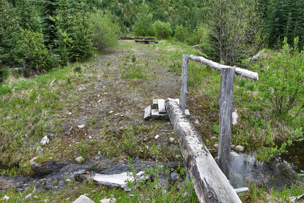 Viola Lake, Viola Lake Trail