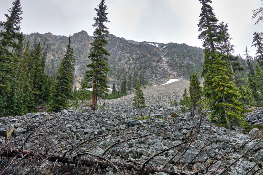 Viola Lake Trail