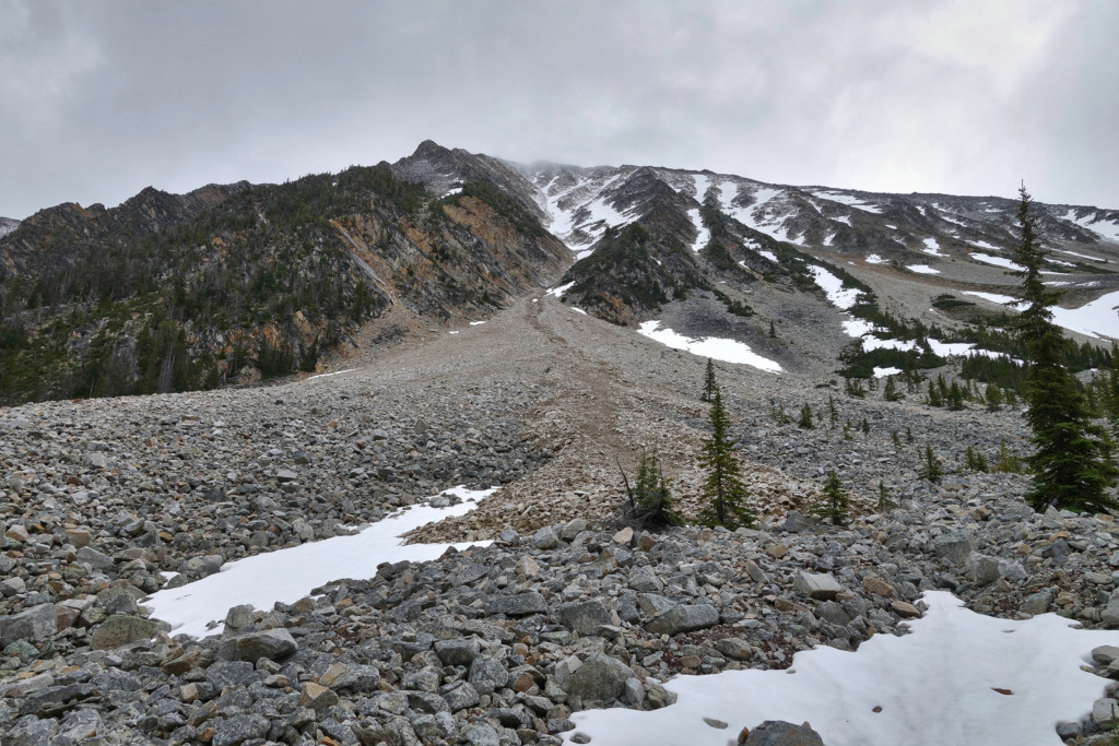 Viola Lake Trail