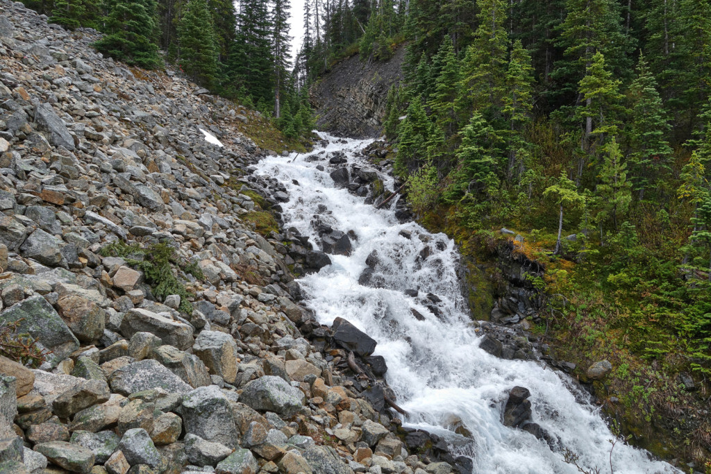 Viola Lake Trail