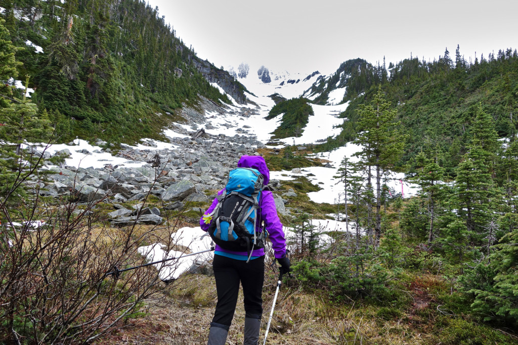 Viola Lake Trail