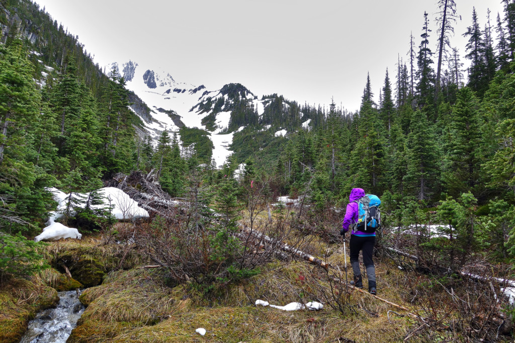 Viola Lake Trail