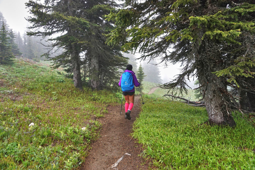 View Along the Heather Trail