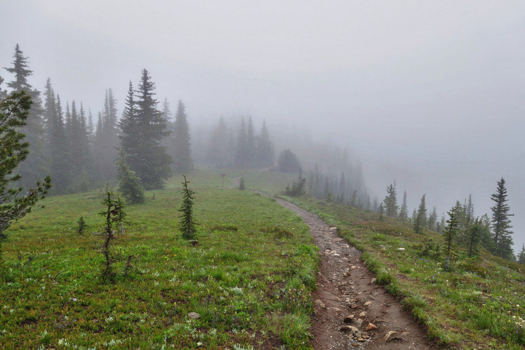 Views Along the Heather Trail, Manning Park