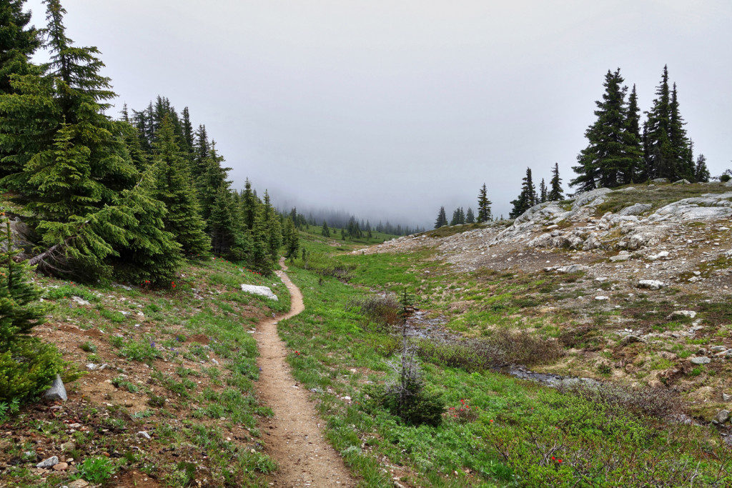 View Along the Heather Trail