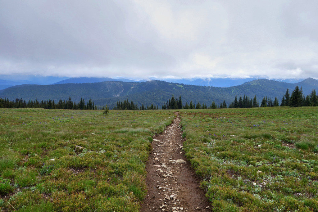 Views Finally Opening up Along the Trail