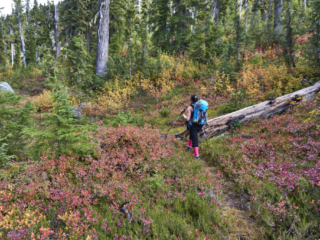 Blanca Lake Trail, Squamish