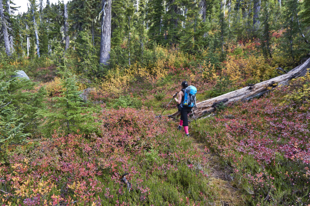 Blanca Lake Trail, Squamish