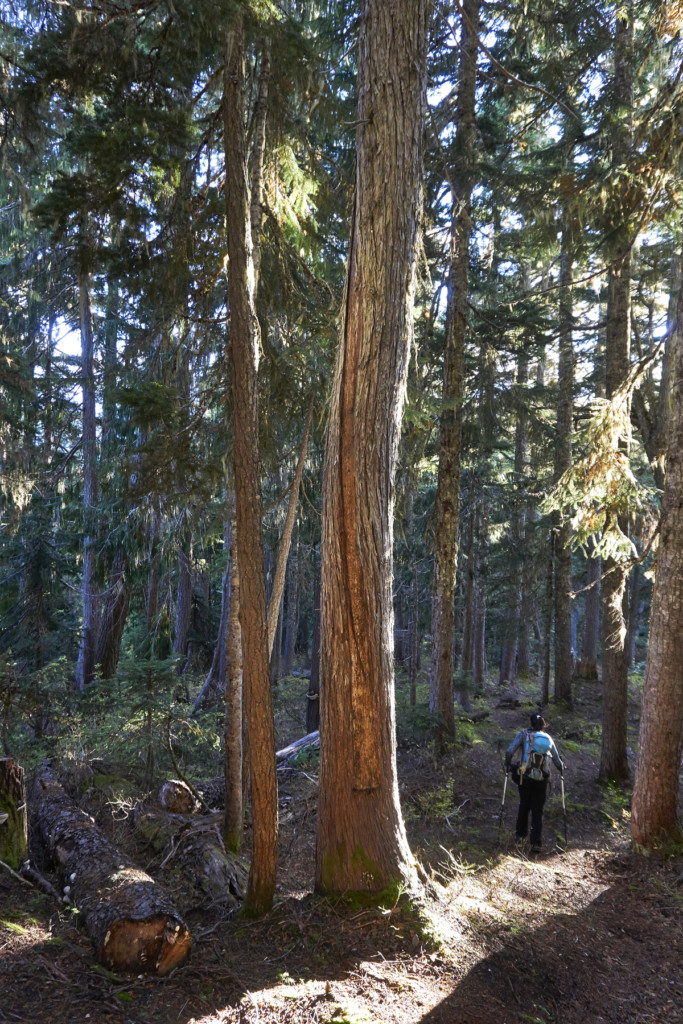 Squamish BC