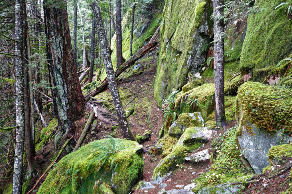 Sigurd Creek Trail