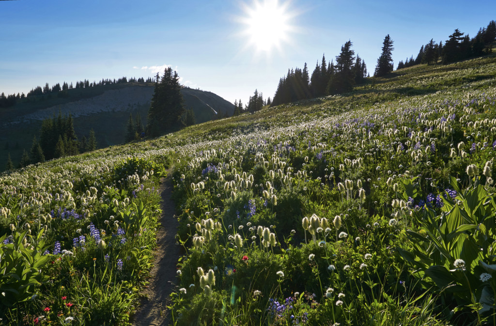 Manning Park, Heather Trail, Nicomen Lake, Three Brothers Trail