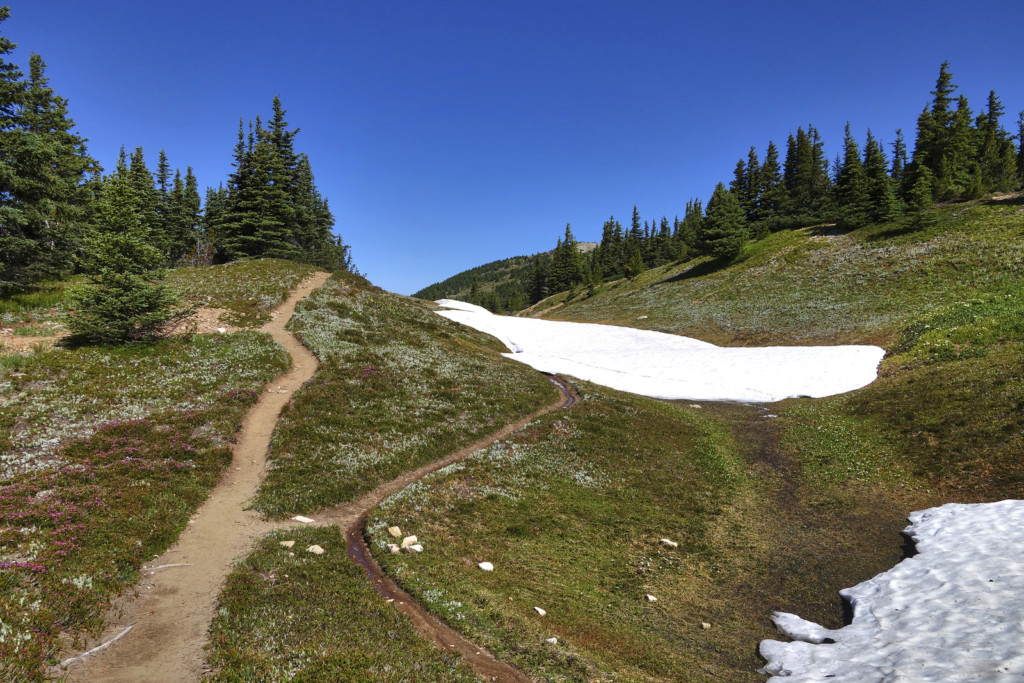 First and Only Trace of Snow Along the Trail