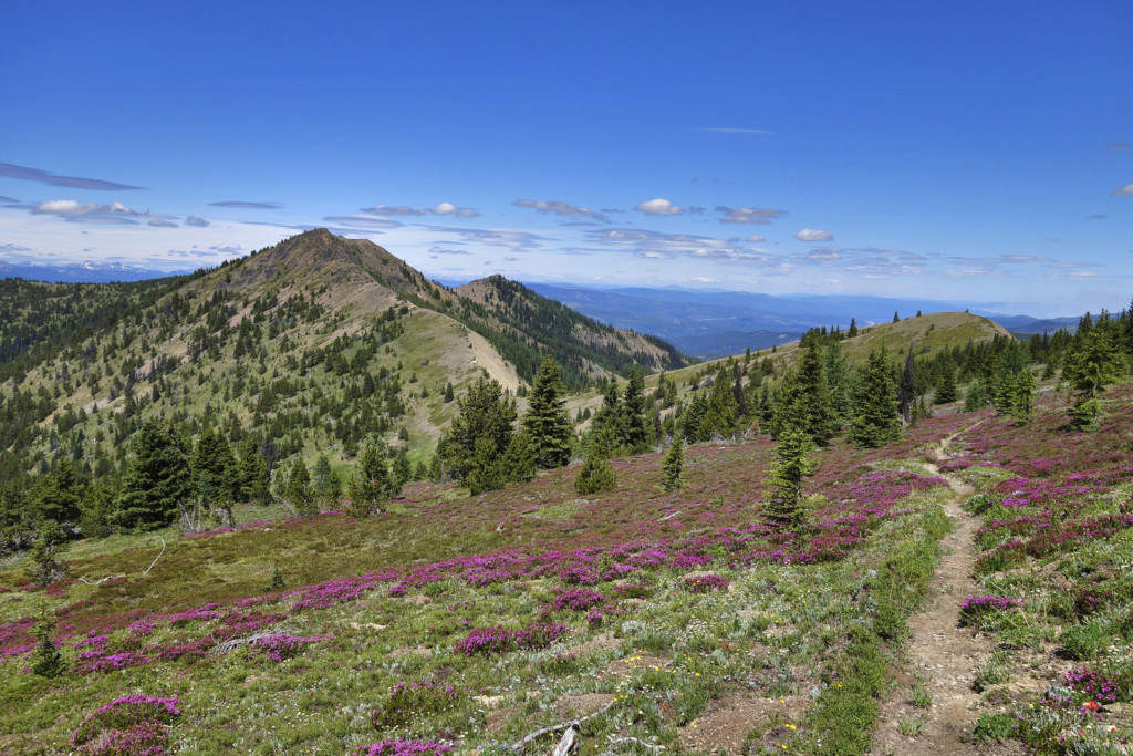 Trail to Flat Top Mountain, BC, Crowsnest Highway